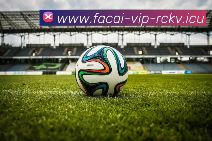 乐鱼体育注册品牌故事