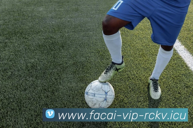 乐鱼体育注册服务体系